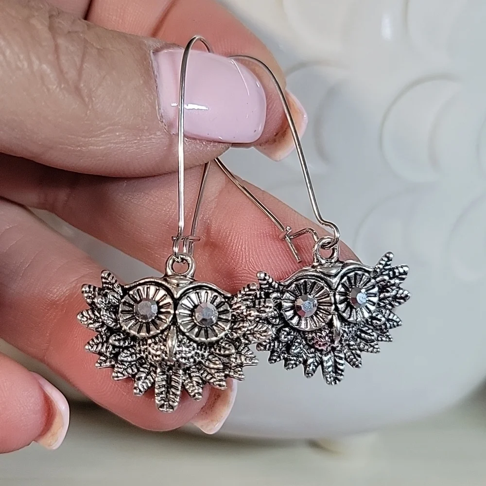 🔥LAST PAIR🔥 Owl Vintage Style Long Drop Earrings